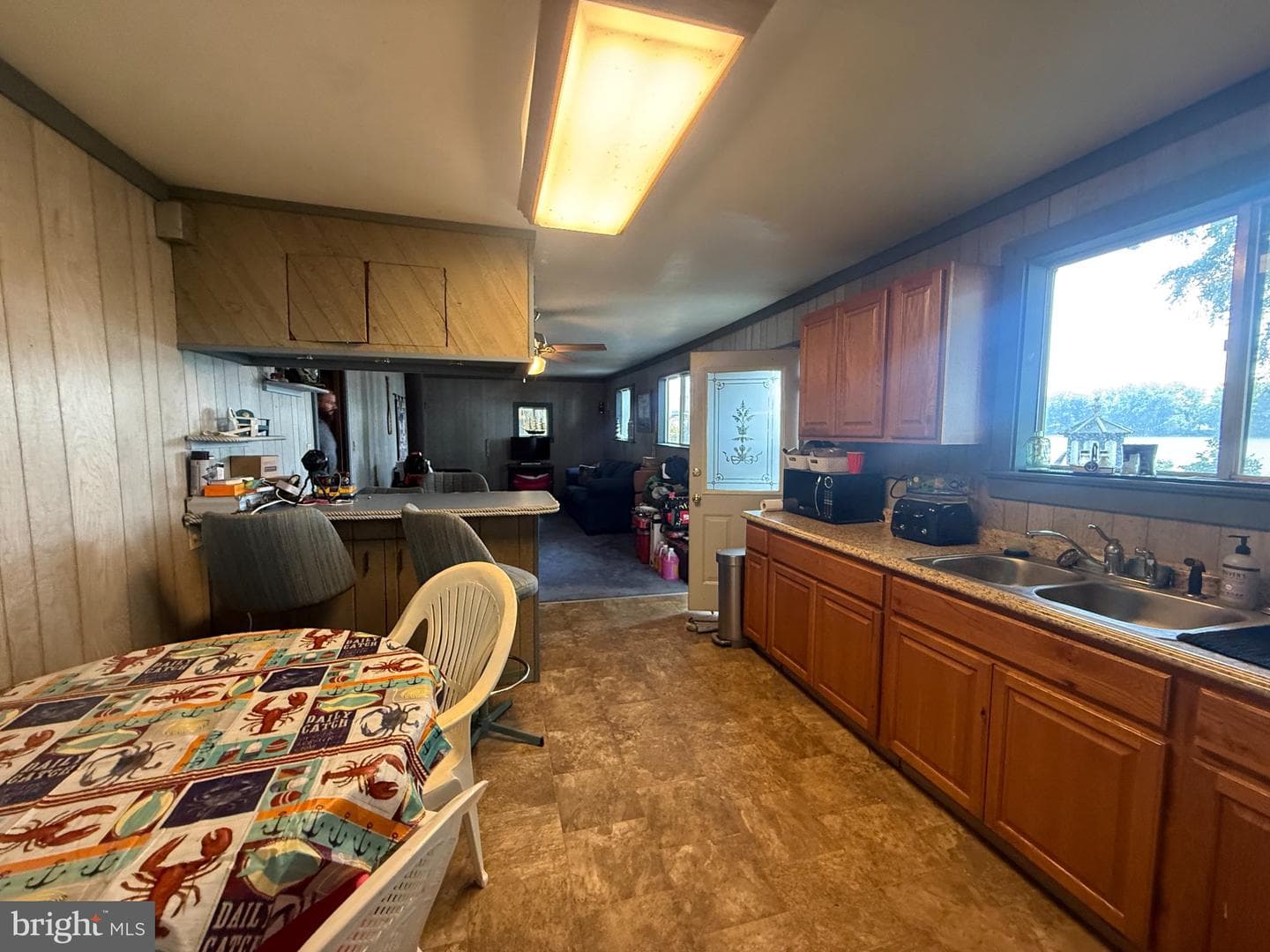 49 Beech Island photo 5