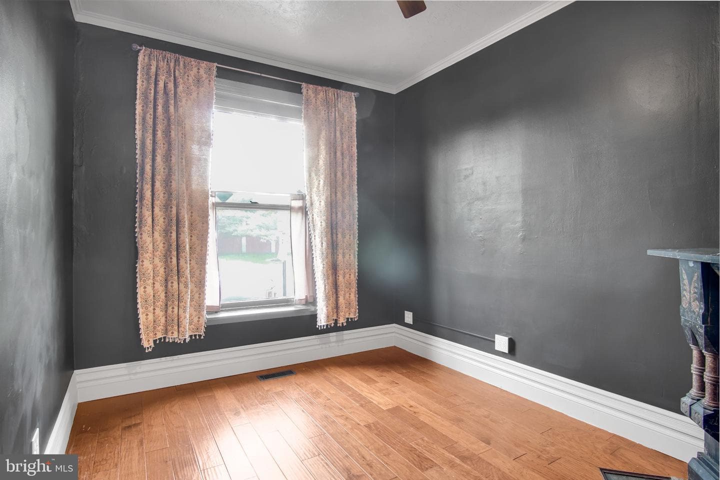 542 Race St photo 7