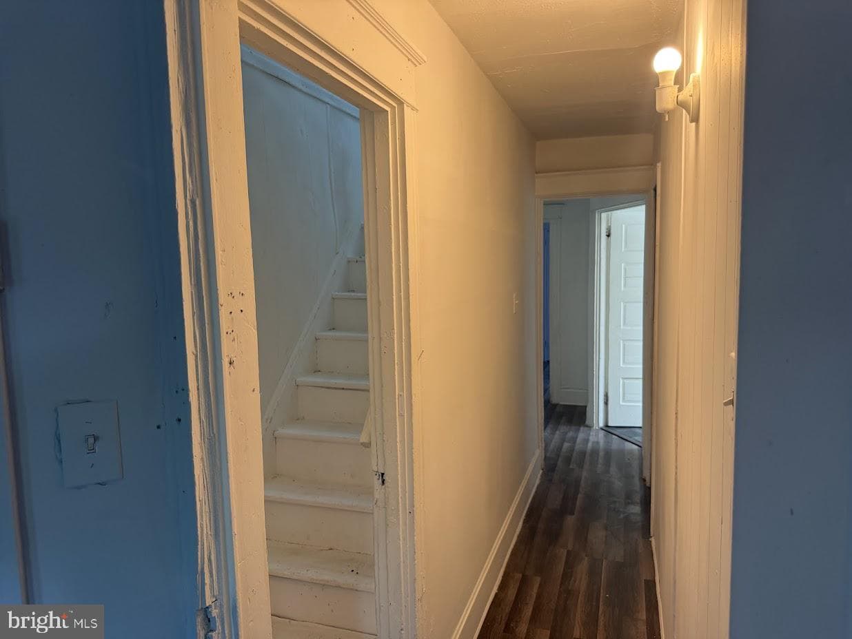 1825 Boas Street photo 19