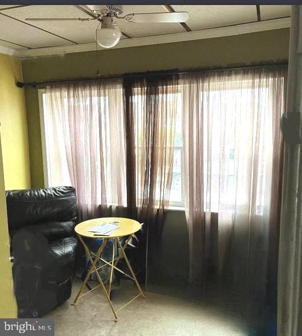 75 Lamport Road photo 4