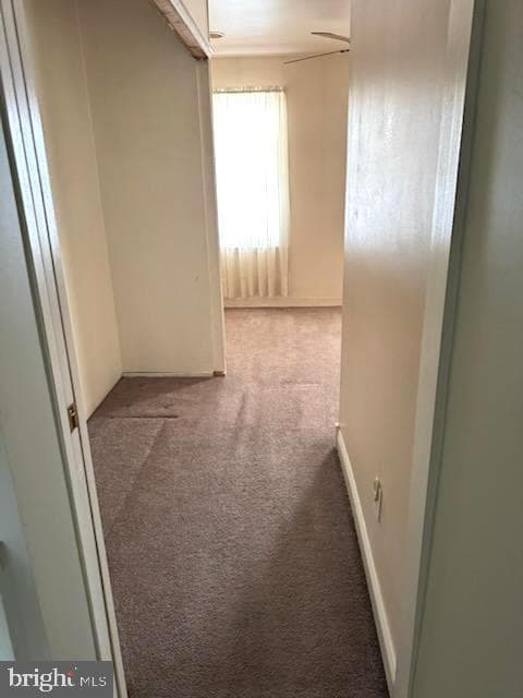 710 Saville Avenue photo 25