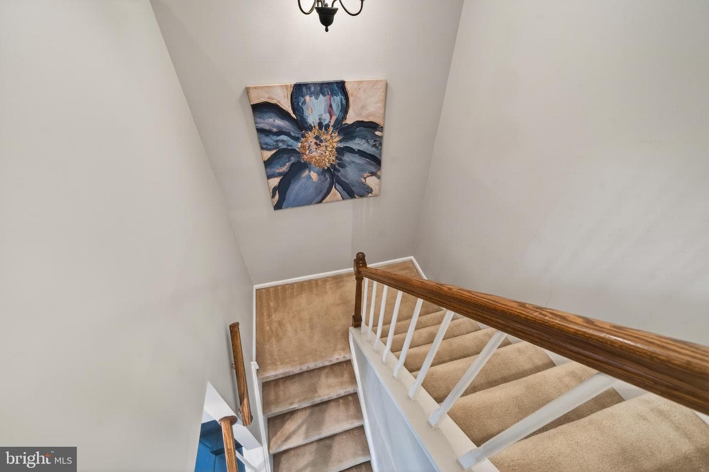 297 Stanton Court photo 24