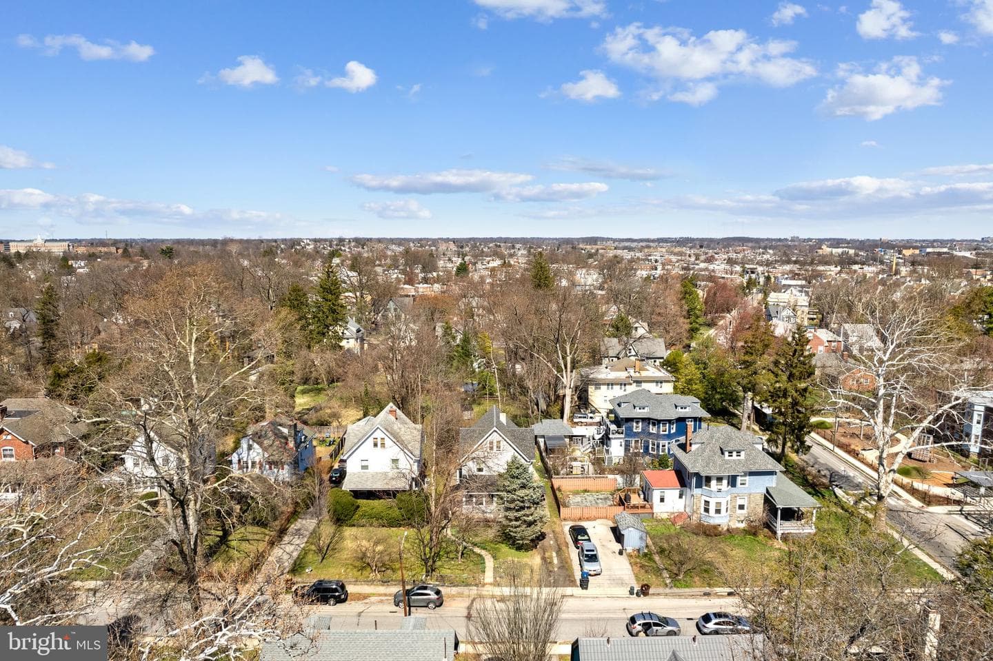 81 Price Avenue photo 30