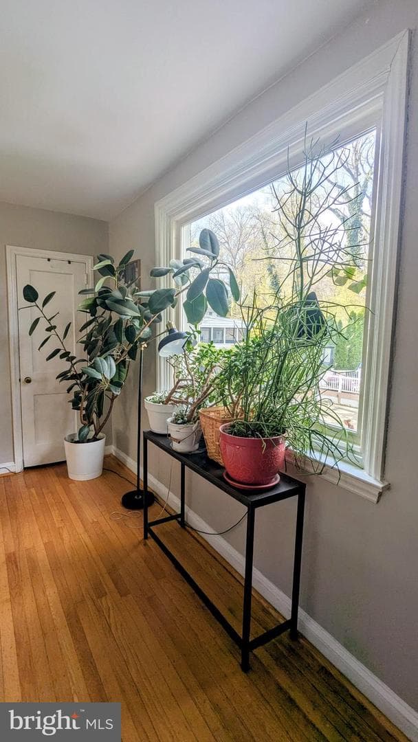 307 Valley Road photo 17