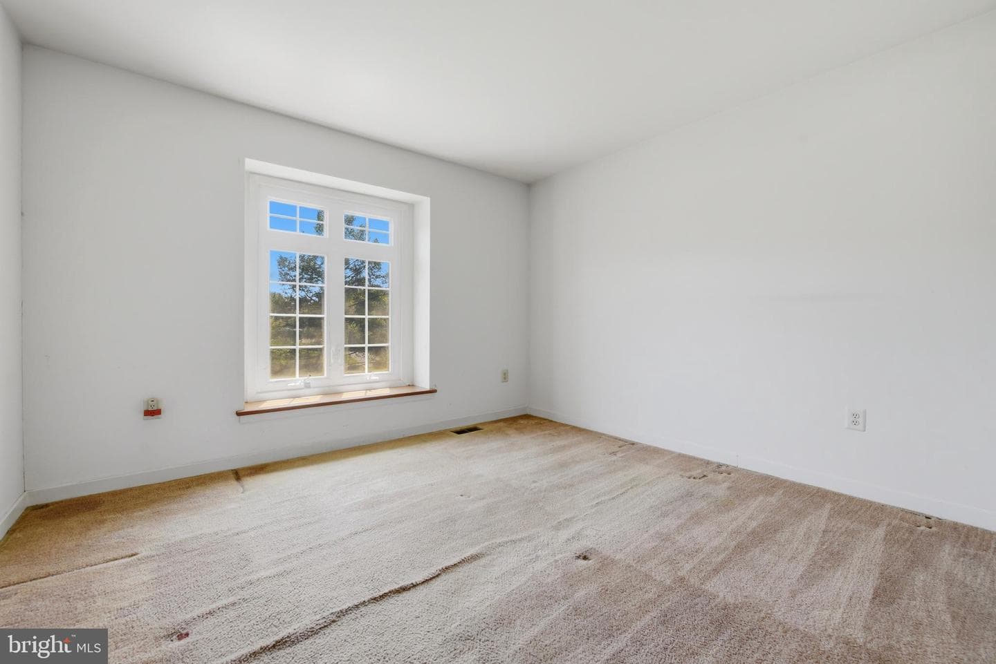 1 Glen Meadow Drive photo 29