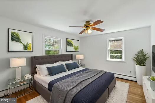 77 Ruby Road photo 19