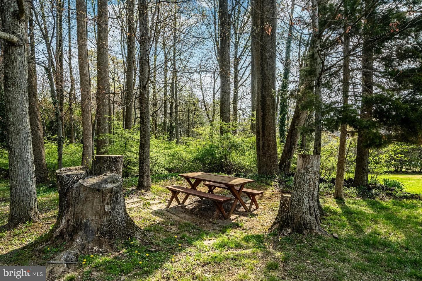 3119 Laughead photo 32