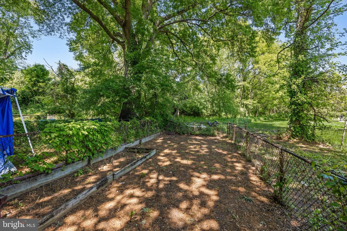 311 Fern Street photo 21