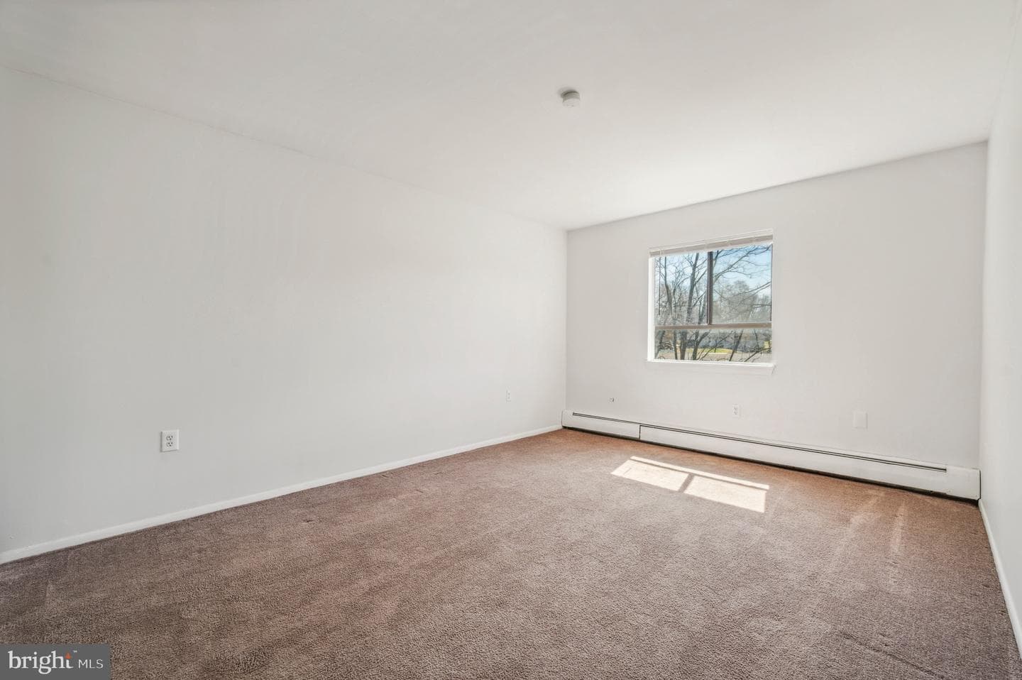 280 Bridgewater Road #c-9 photo 5