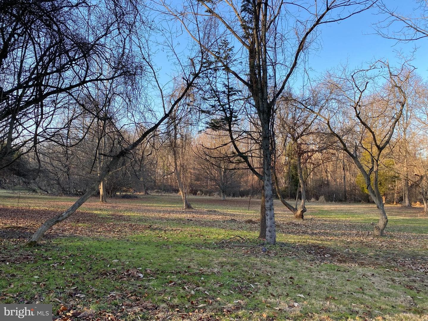 257 Glen Mills Road #d photo 46