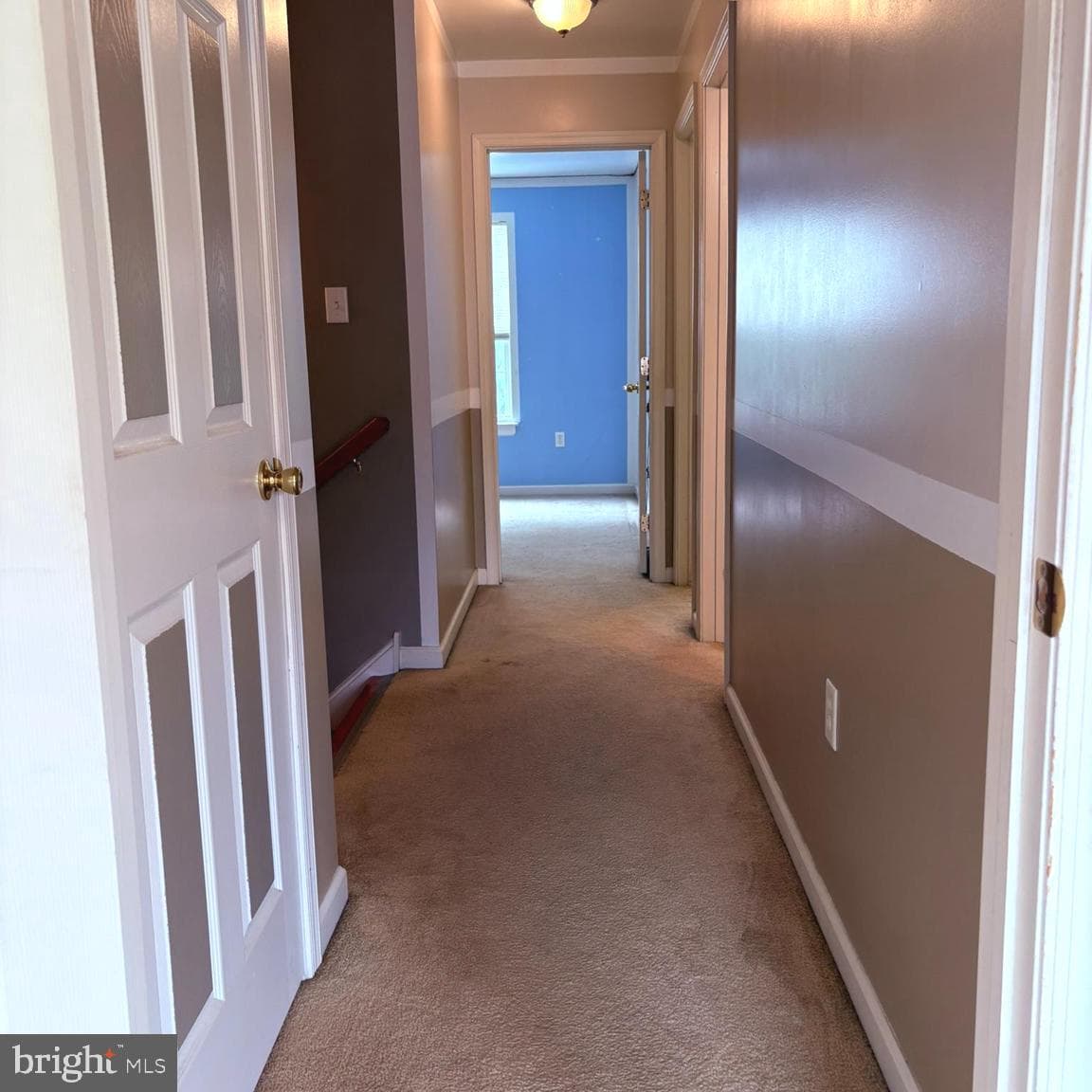 117 Julianna Way photo 31