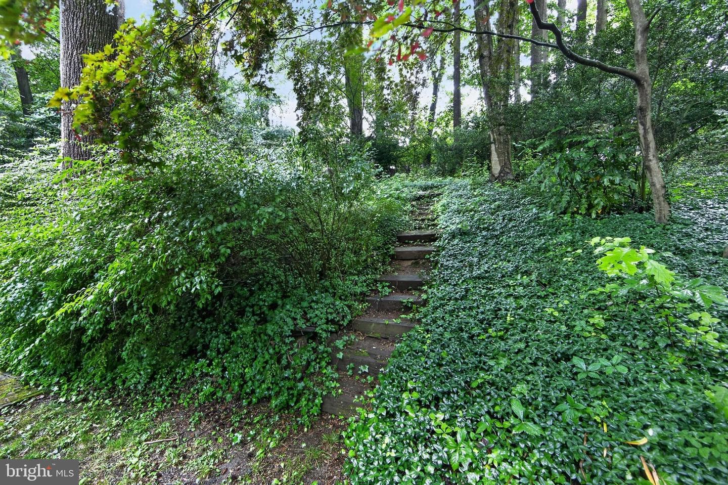 37 N Longpoint Lane photo 30