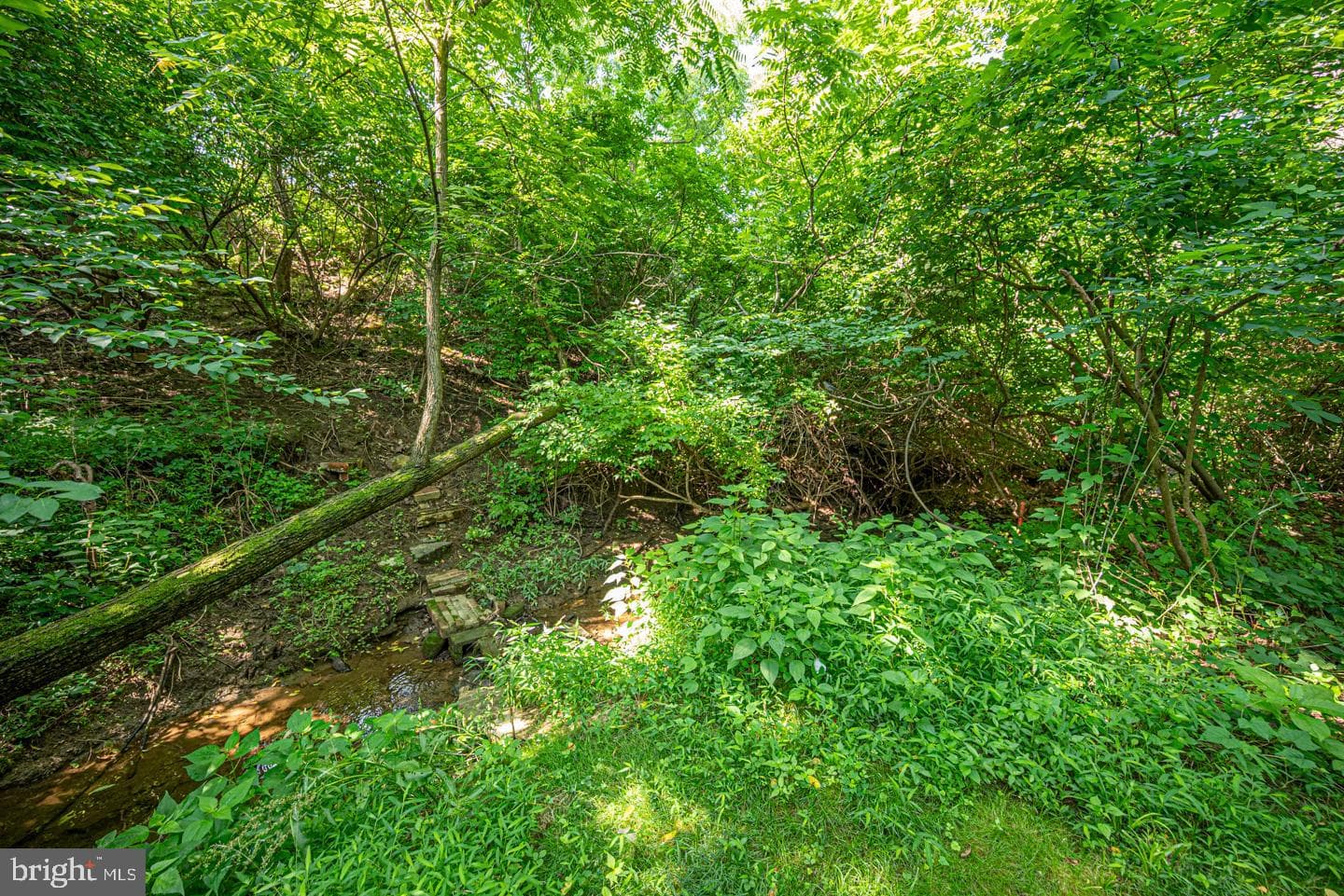 542 Smithbridge Road photo 57