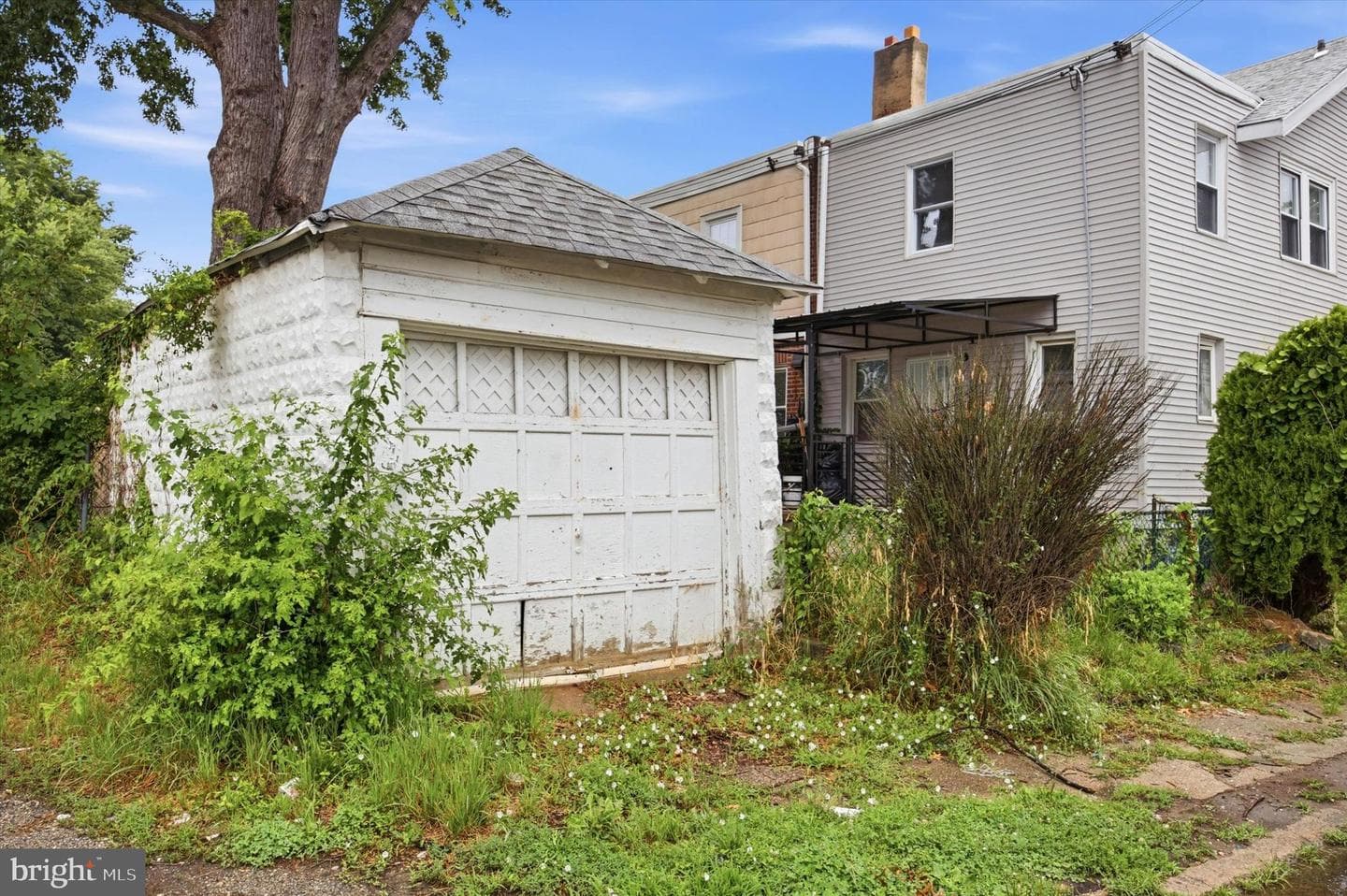 216 Woodlawn Avenue photo 24