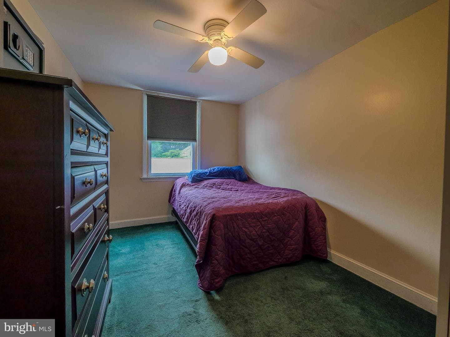 5360 Delmar Drive photo 32