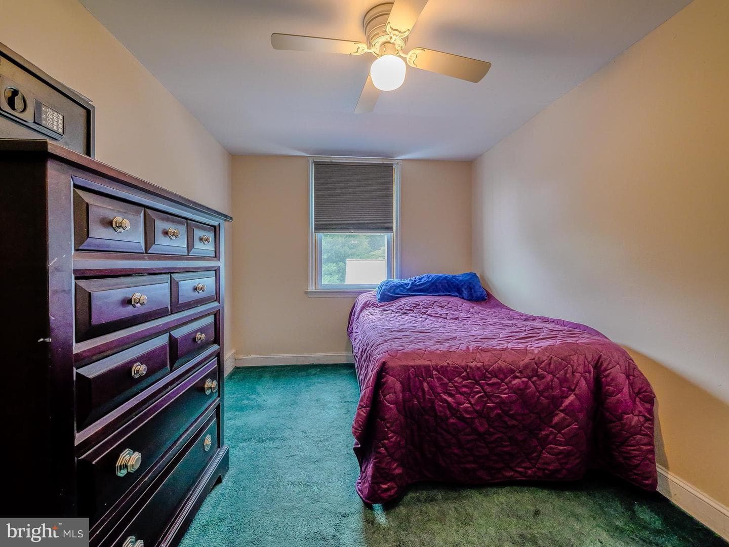 5360 Delmar Drive photo 33