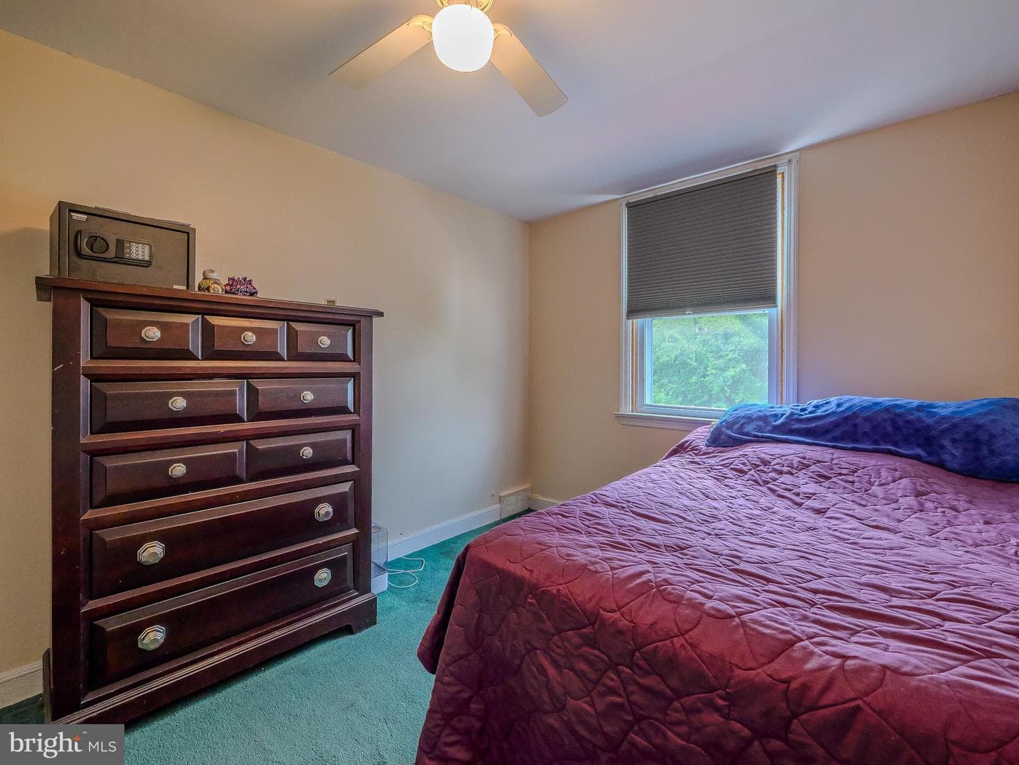 5360 Delmar Drive photo 34