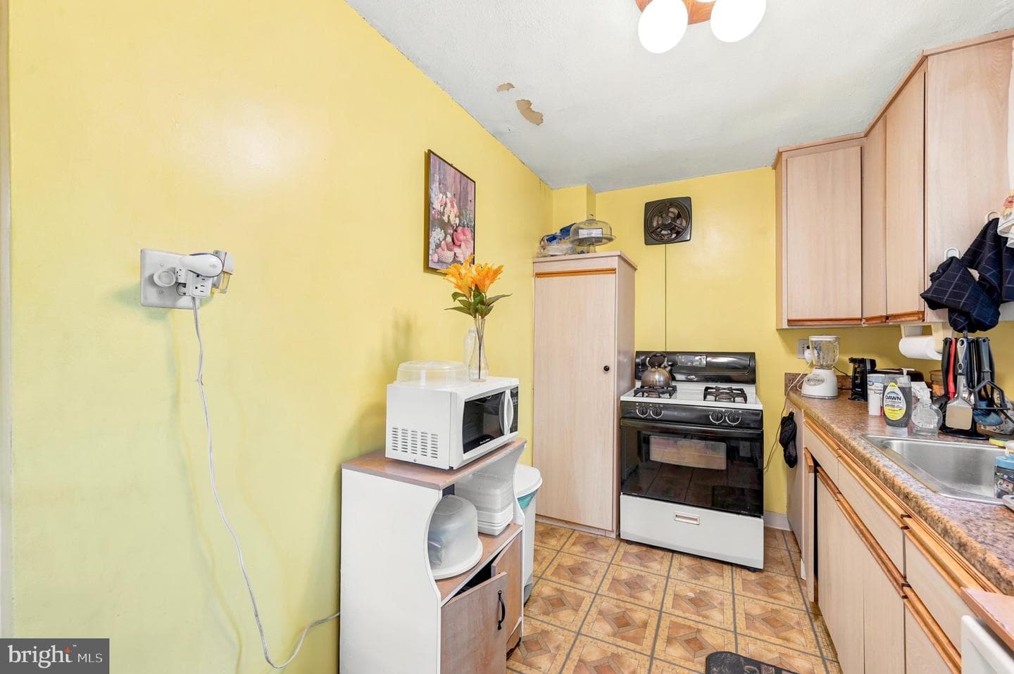 236 Pusey Avenue photo 14