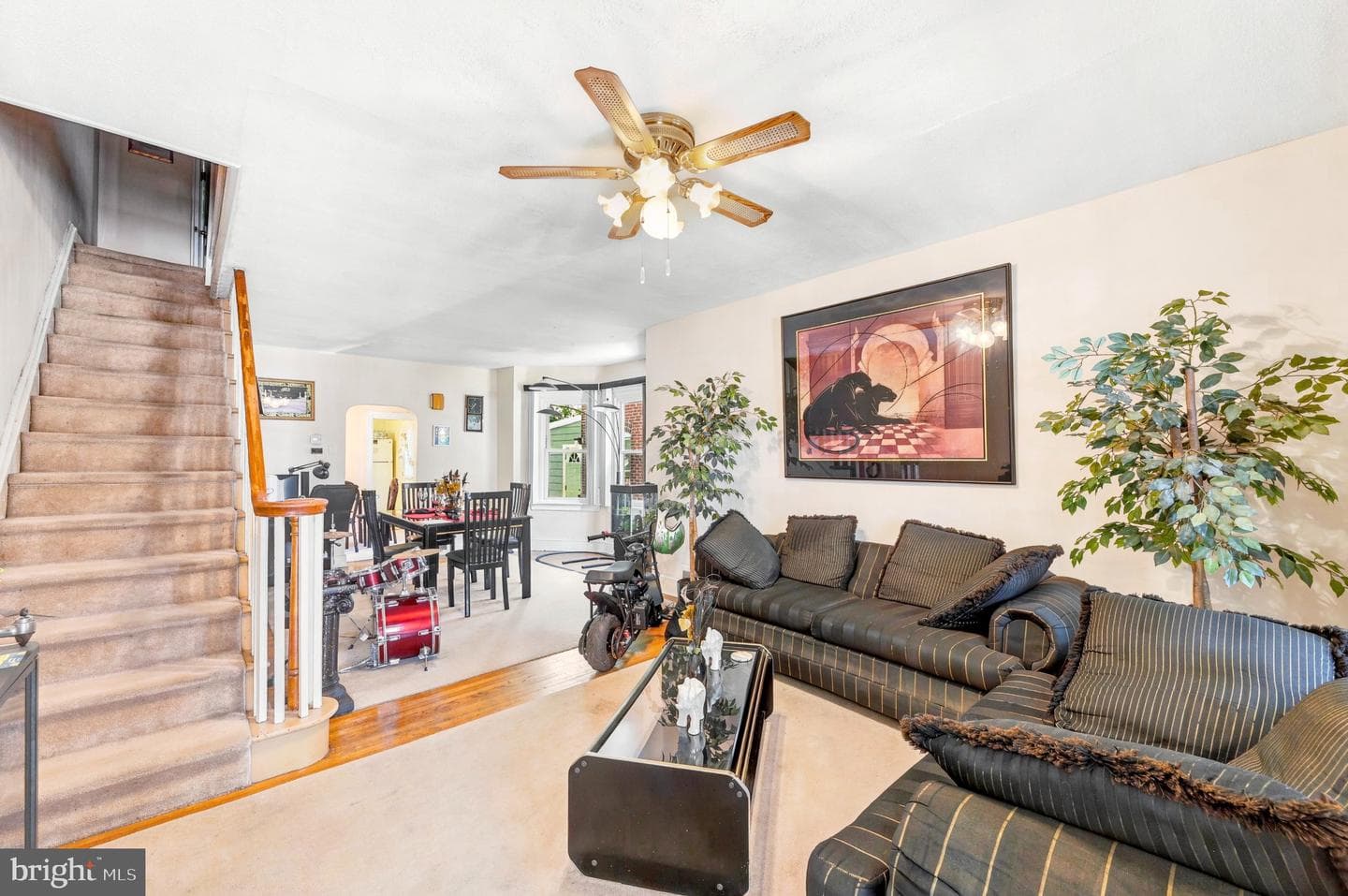 236 Pusey Avenue photo 3