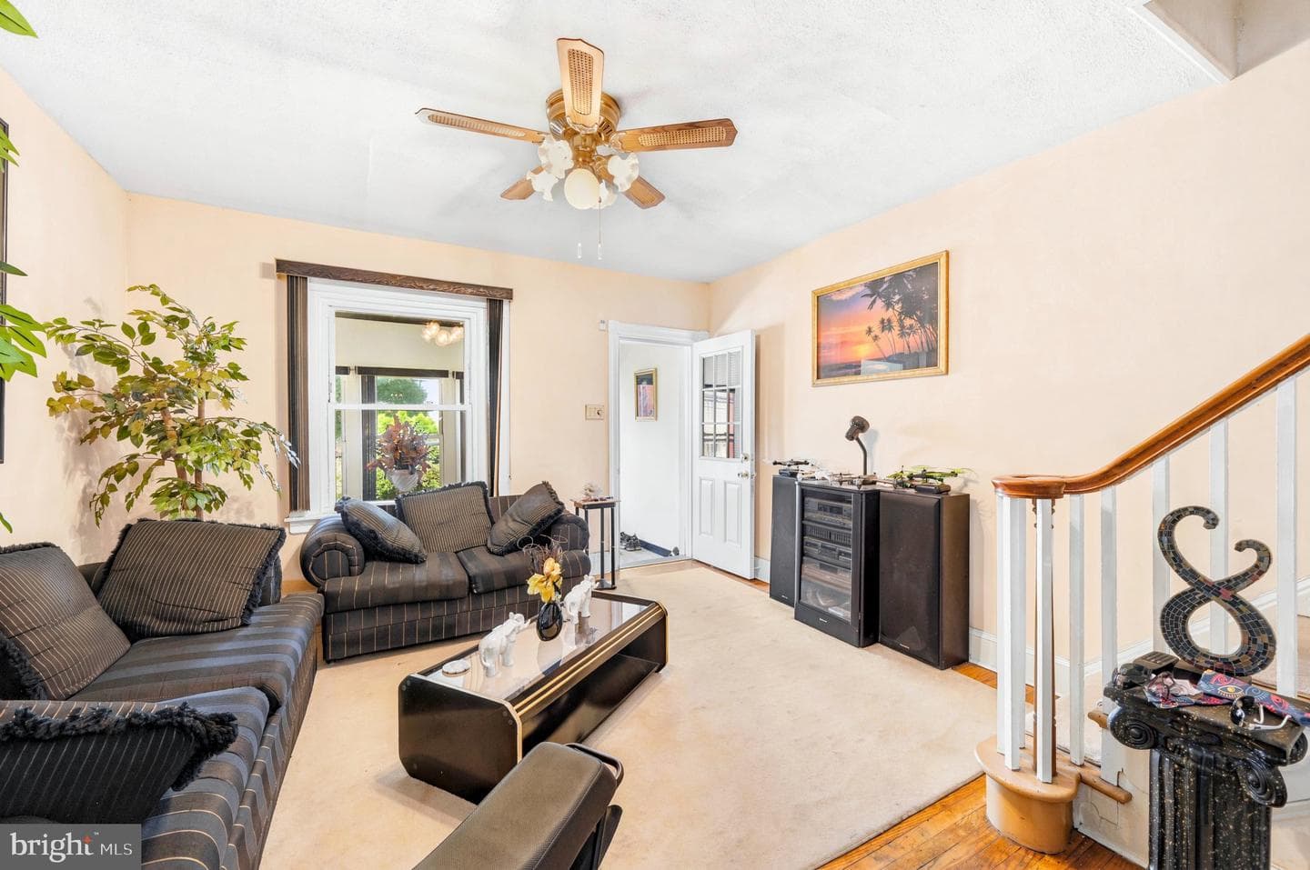 236 Pusey Avenue photo 4