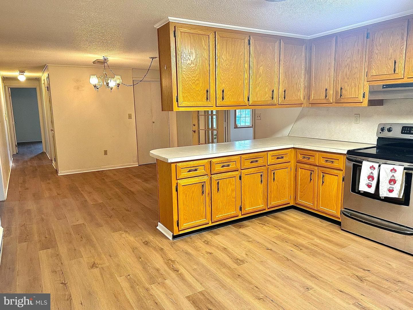 408 Carolle St photo 10