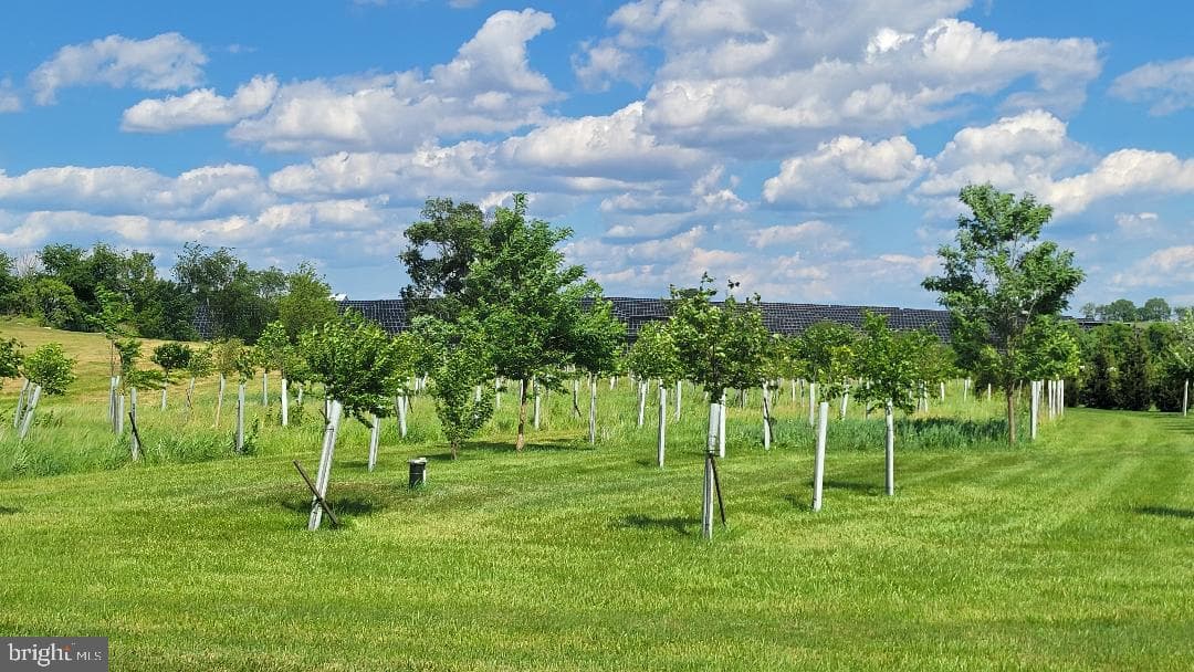 7654 Windmill Road photo 28
