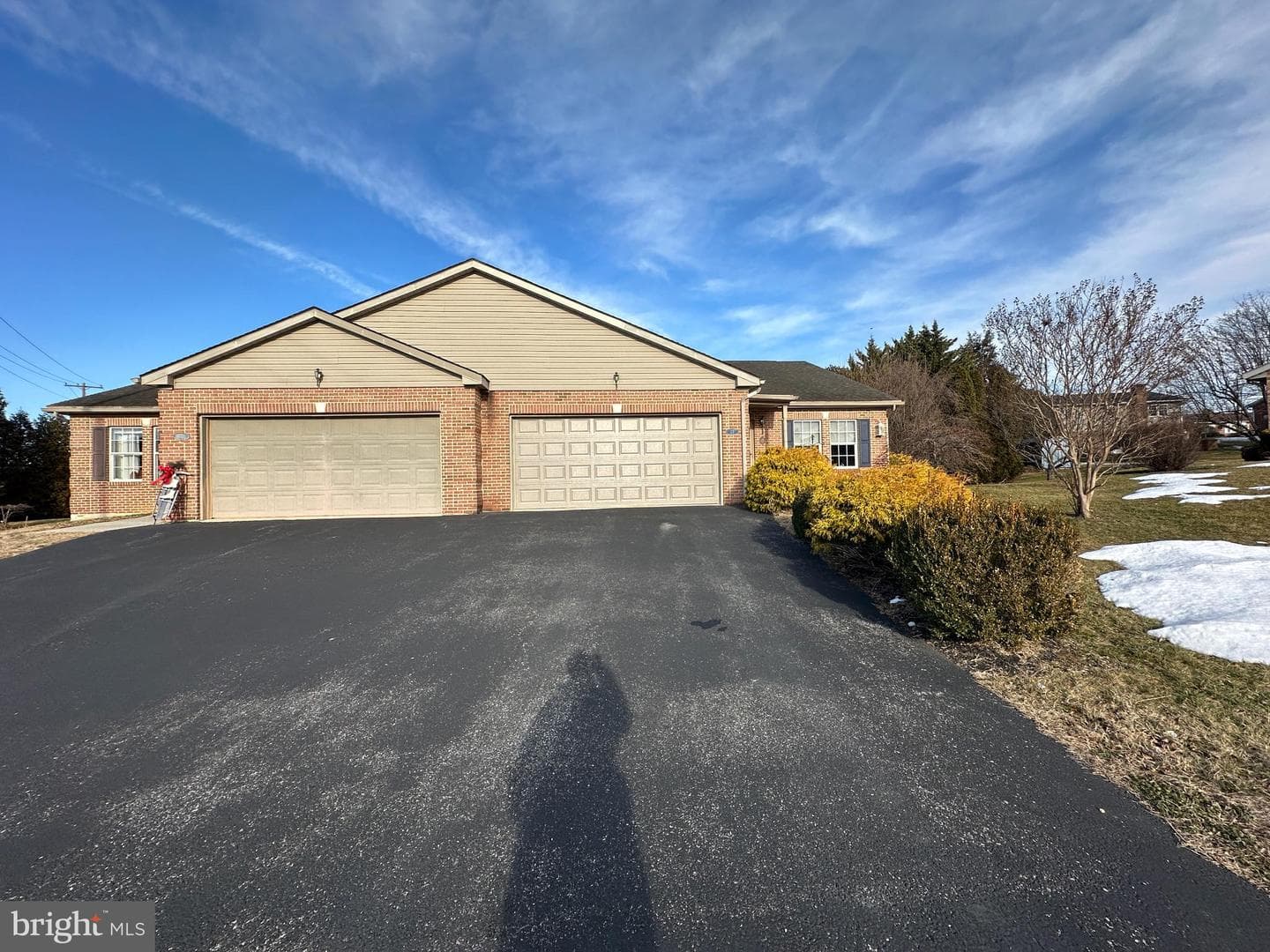 23 Homestead Drive photo 20