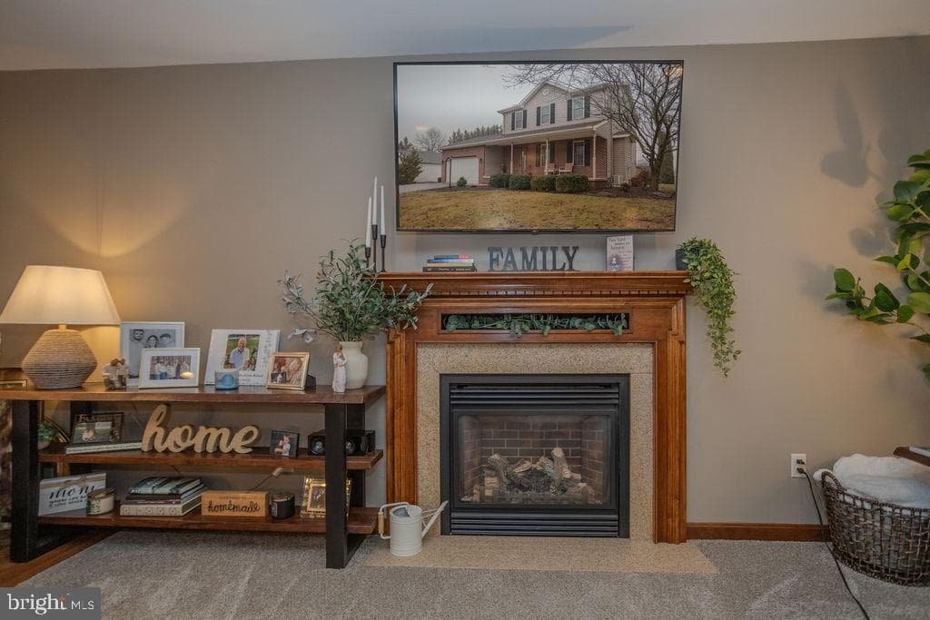 233 Carmack Drive photo 10
