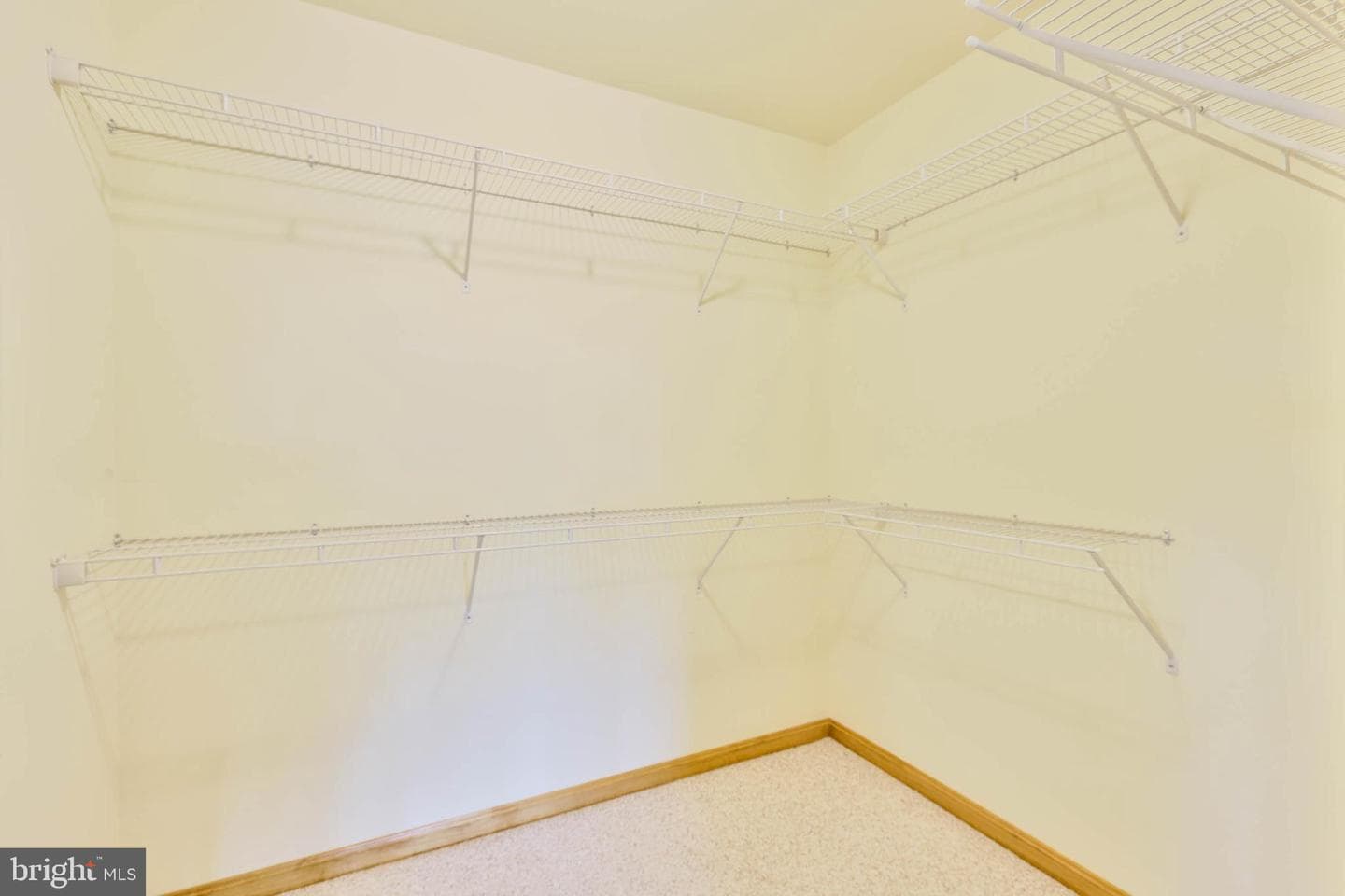 11230 Thornwood Road Road photo 15
