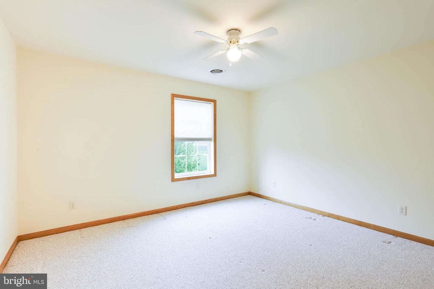 11230 Thornwood Road Road photo 19