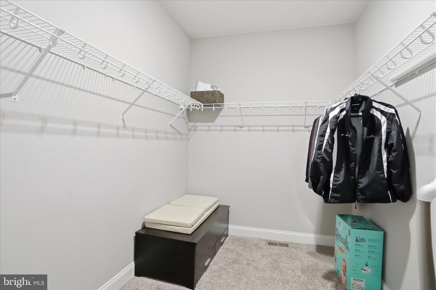 171 Delanie Drive photo 33