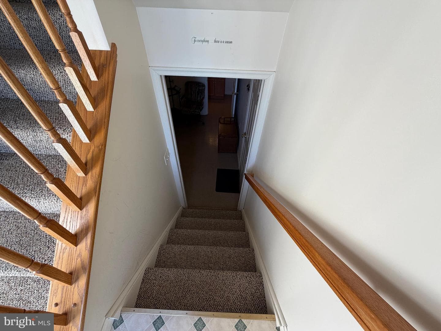 439 Strite Road photo 60