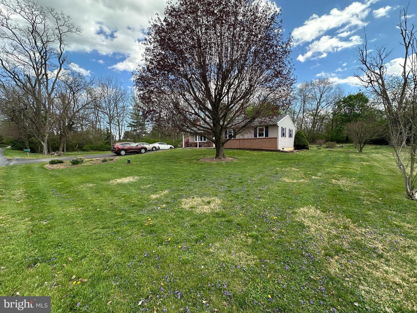 1028 Woodland Parkway photo 26