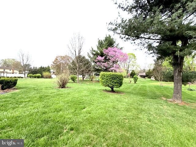 53 Edgelea Drive photo 17