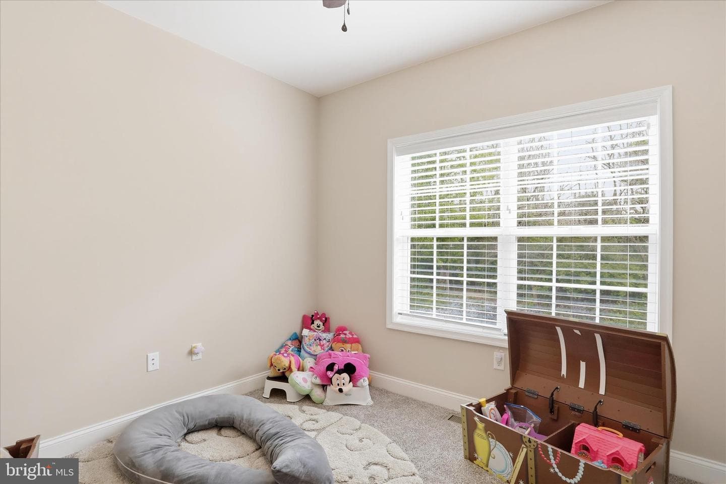 153 Delanie Drive photo 12