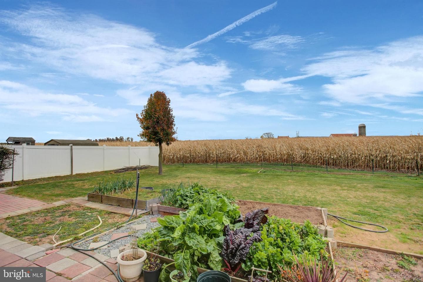 11278 Thornwood Road photo 47