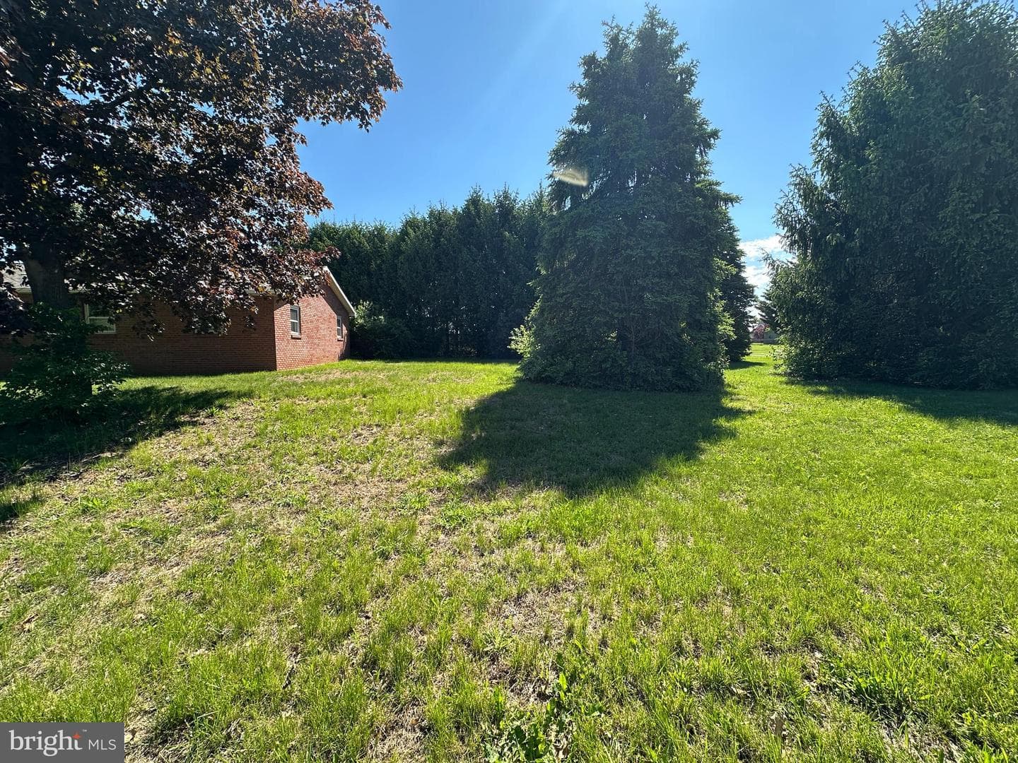 3814 Sycamore Grove Road photo 15