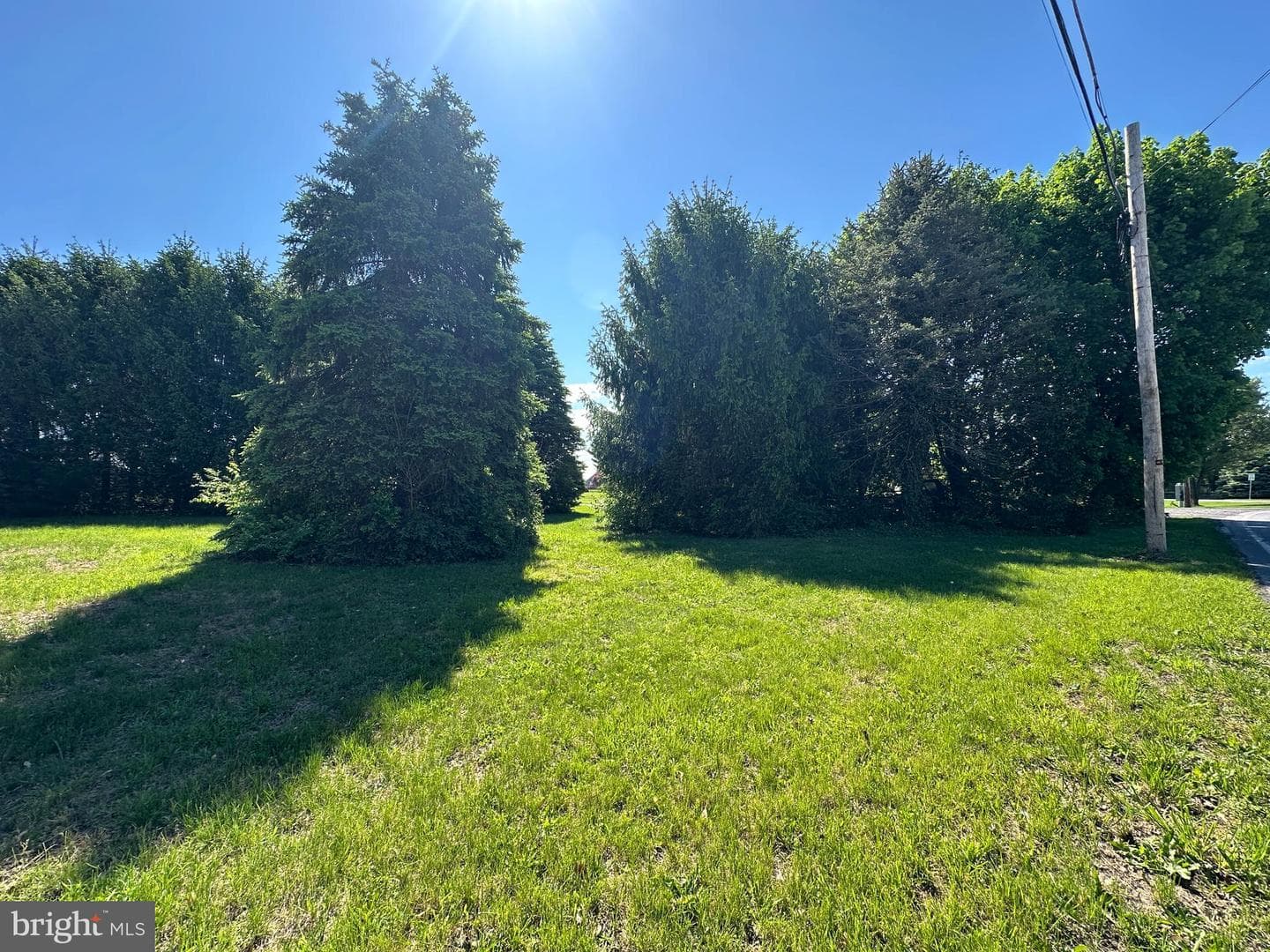 3814 Sycamore Grove Road photo 17