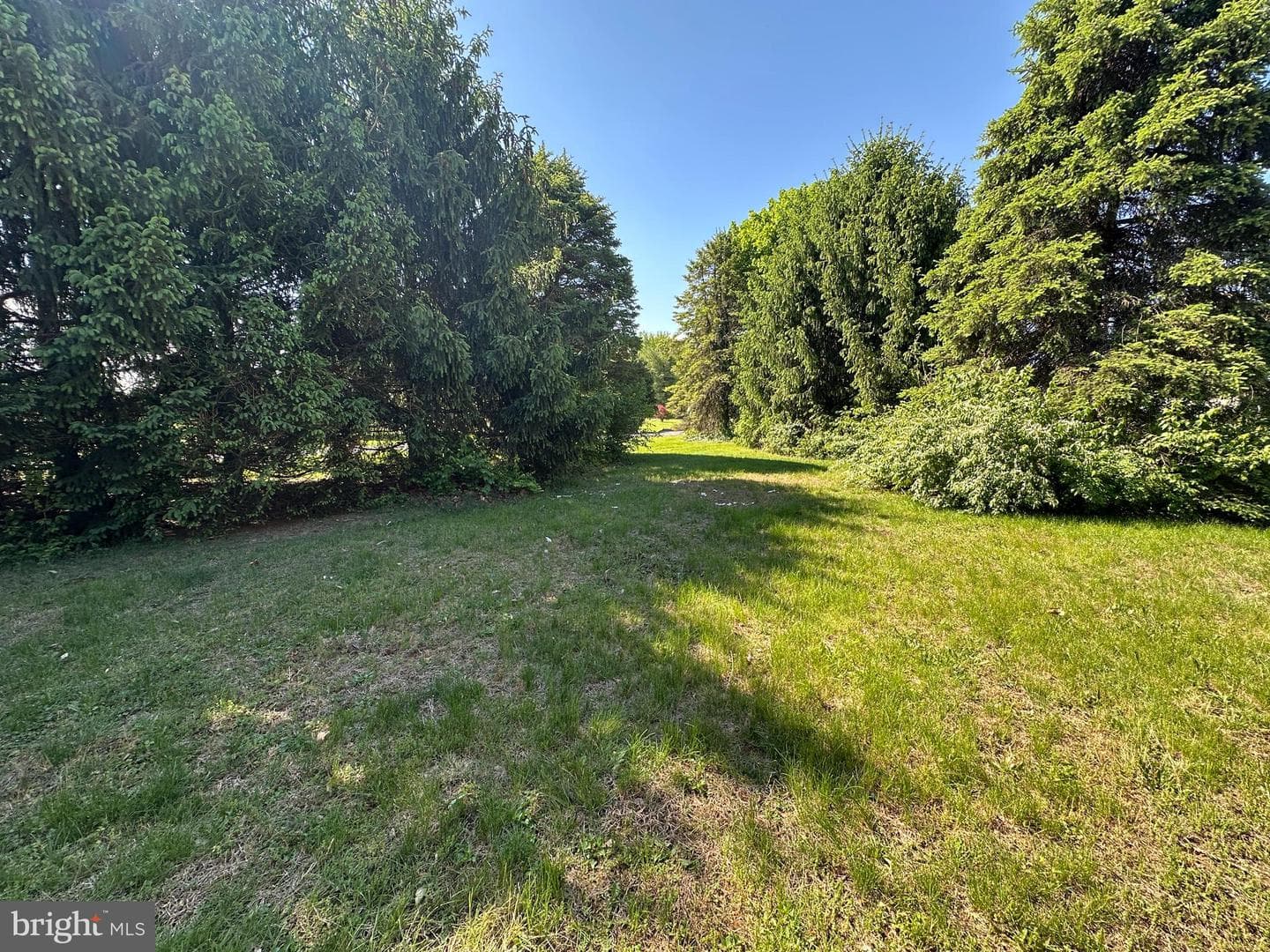 3814 Sycamore Grove Road photo 18