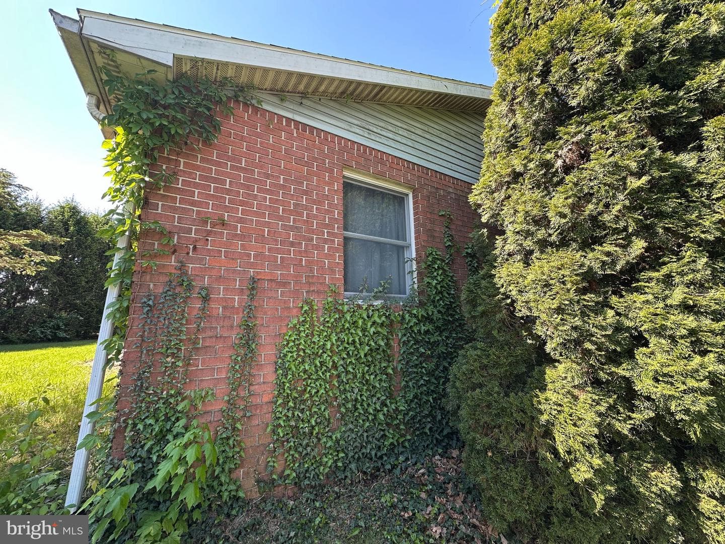 3814 Sycamore Grove Road photo 8