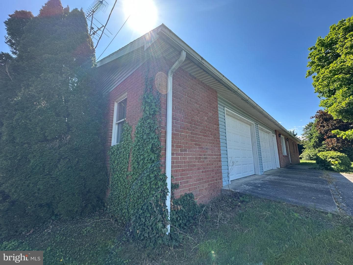 3814 Sycamore Grove Road photo 9