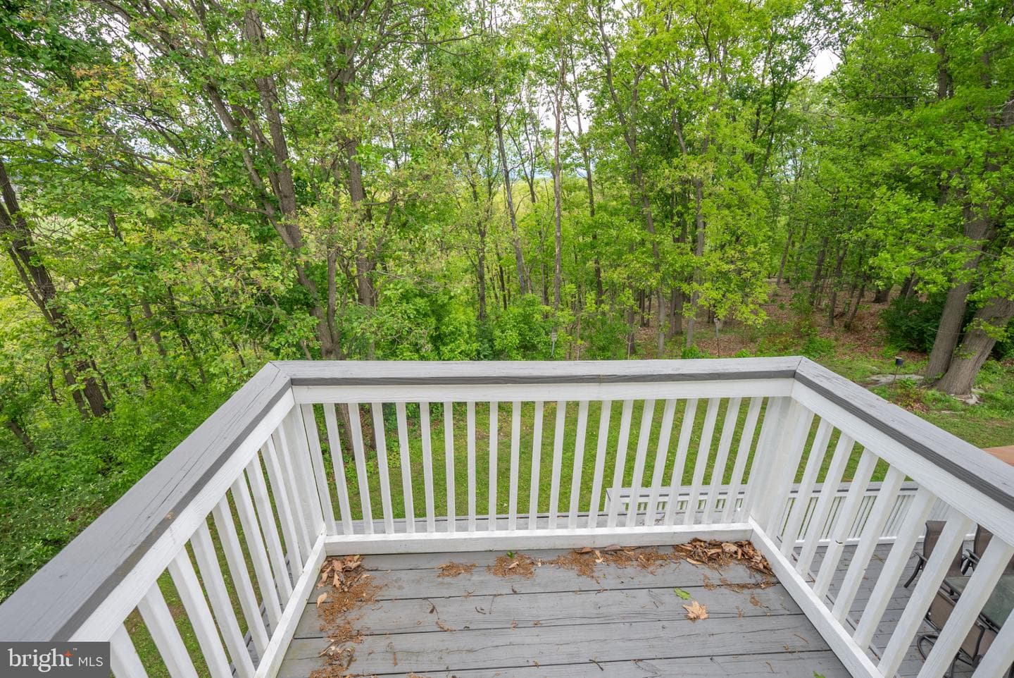 2384 Castlegreen Dr photo 49