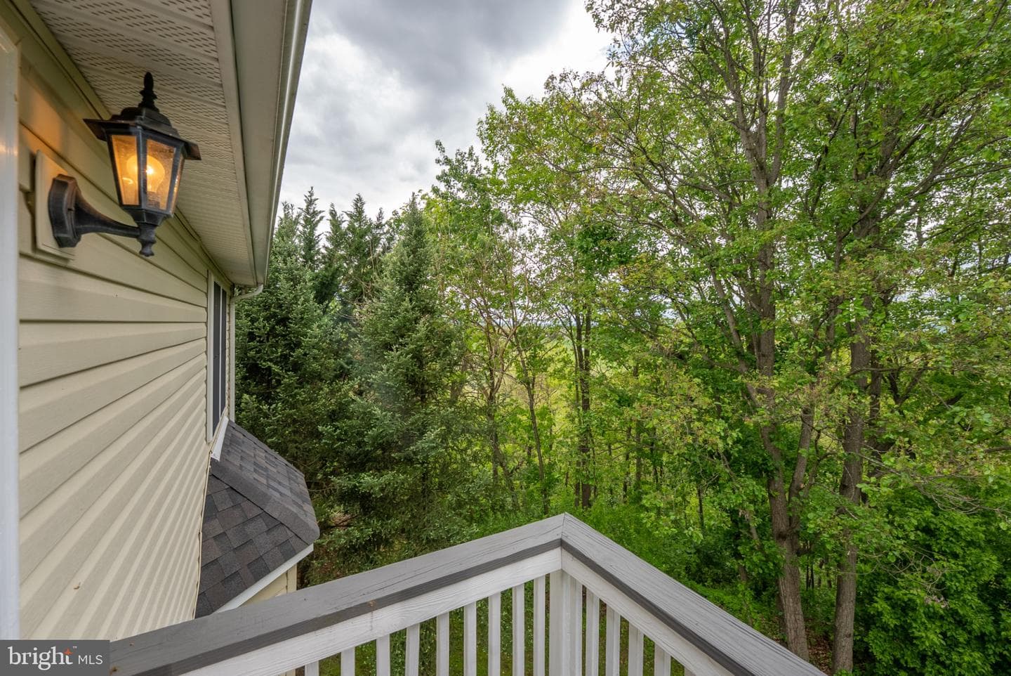 2384 Castlegreen Dr photo 51