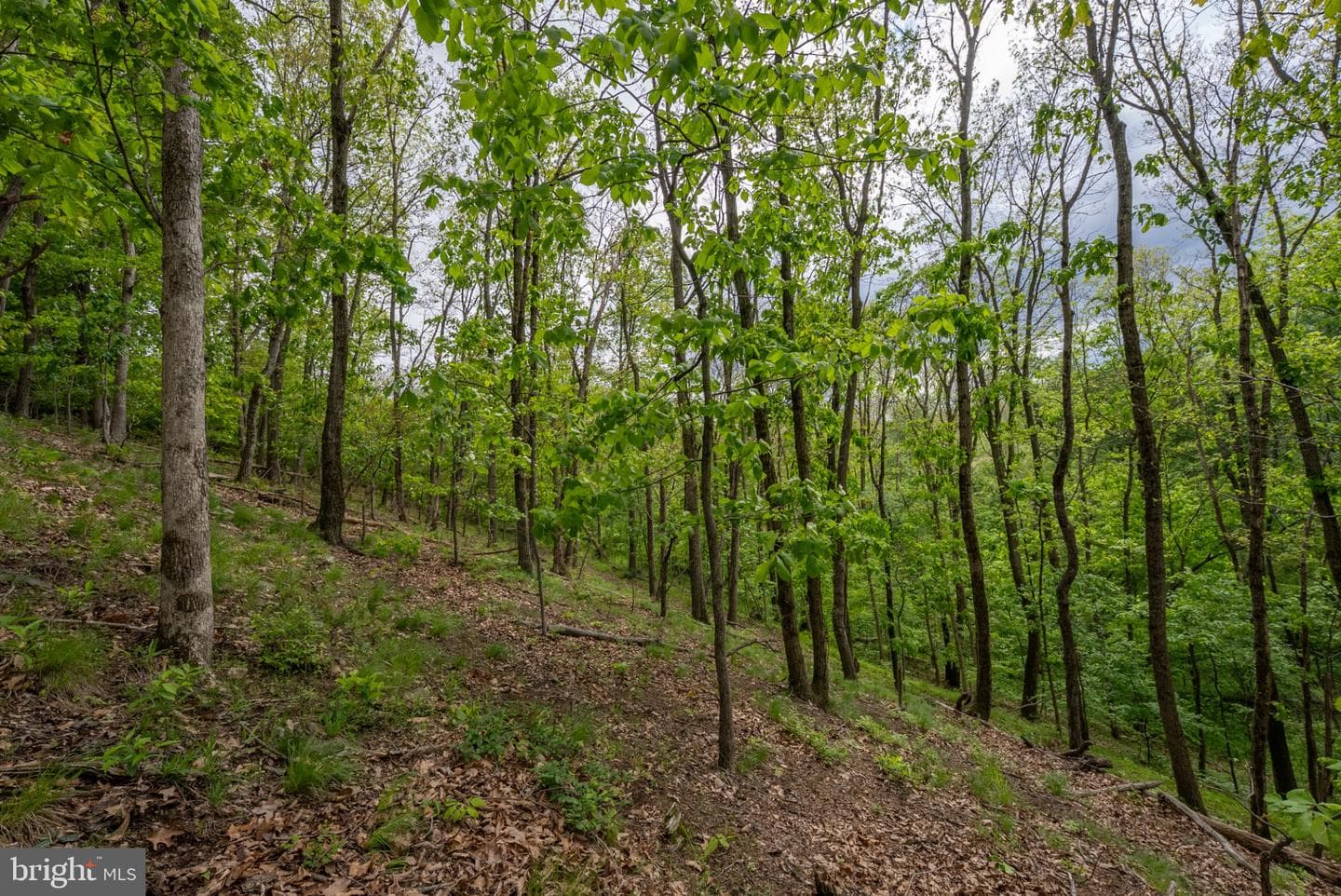 2384 Castlegreen Dr photo 84
