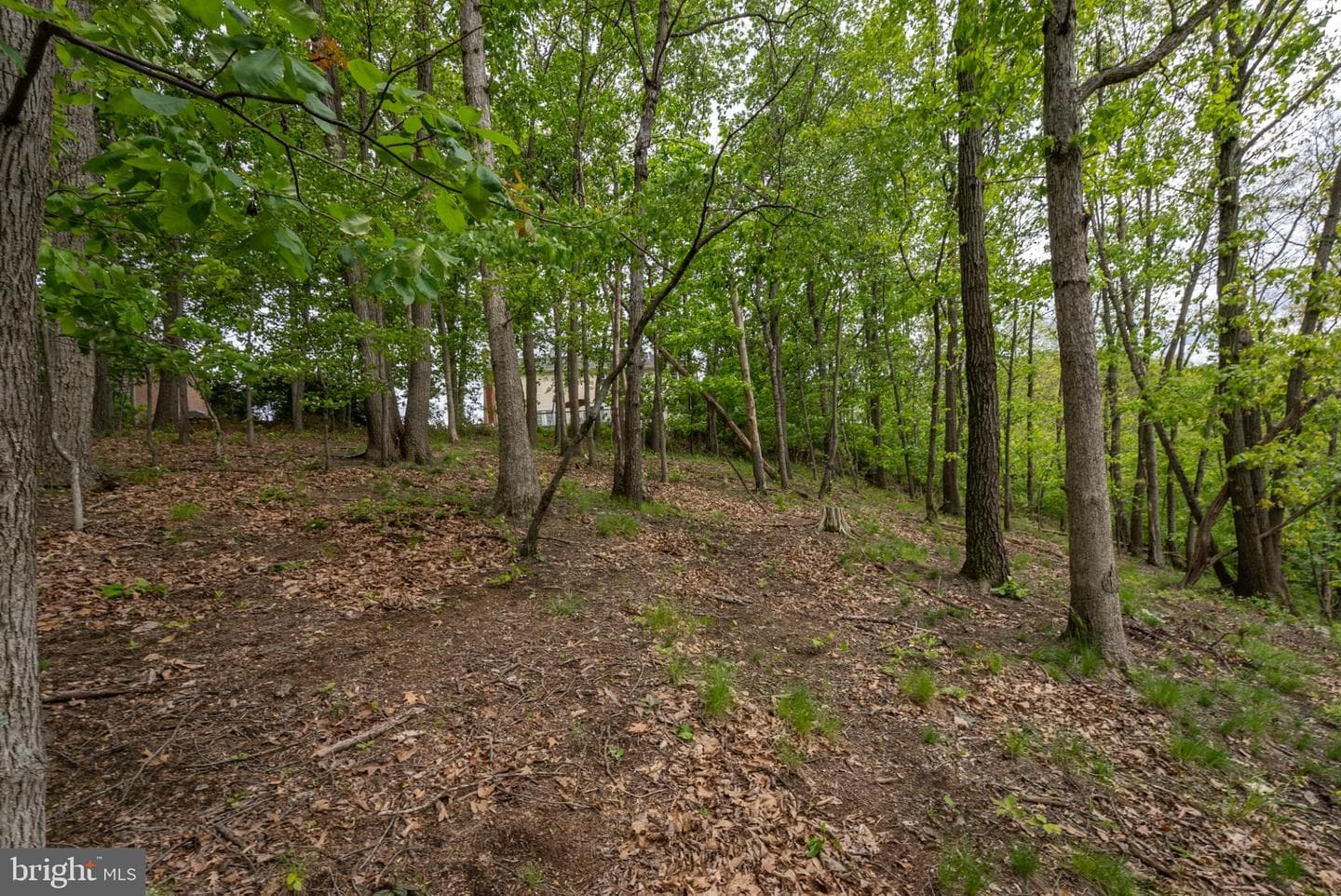 2384 Castlegreen Dr photo 85