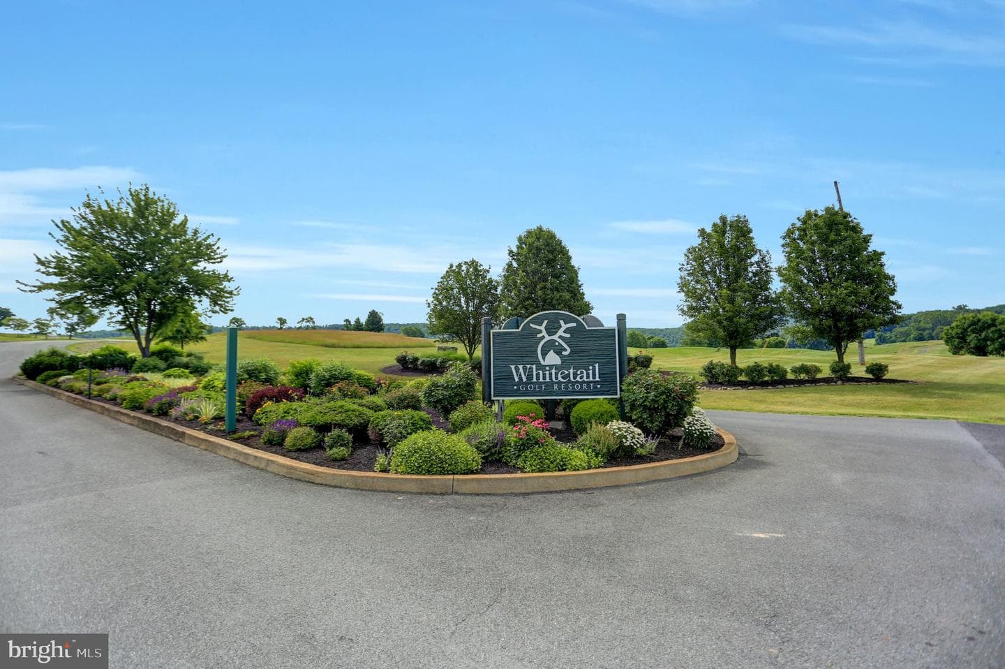14101 Barberry Circle #402 photo 32