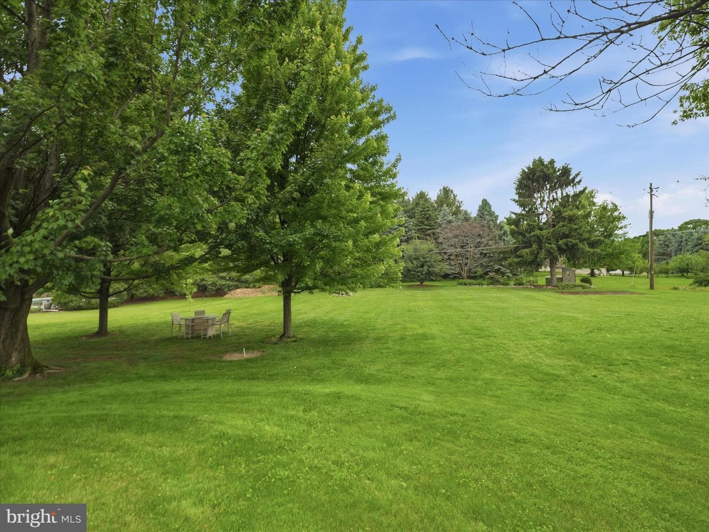 9689 Forest Ridge Road photo 47