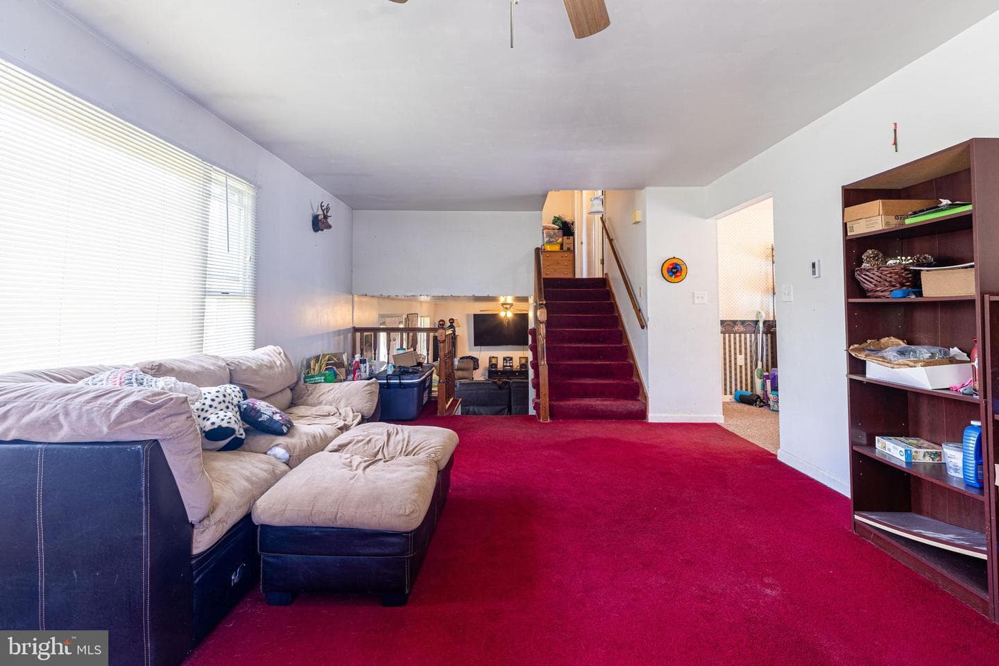 3556 Brook Street photo 17