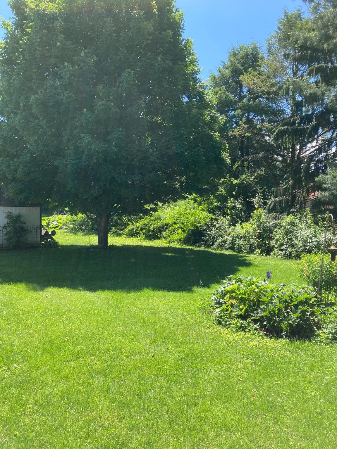 78 Lenwood photo 4