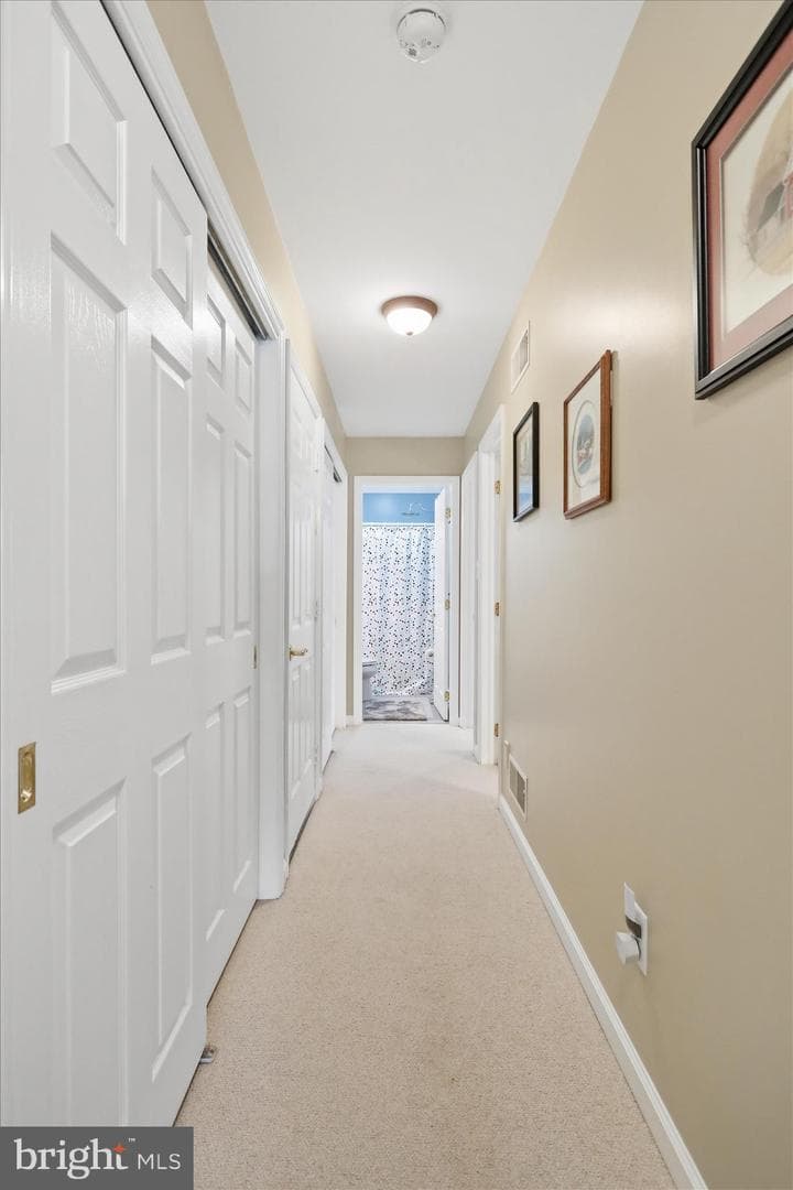 255 Audubon Court photo 45